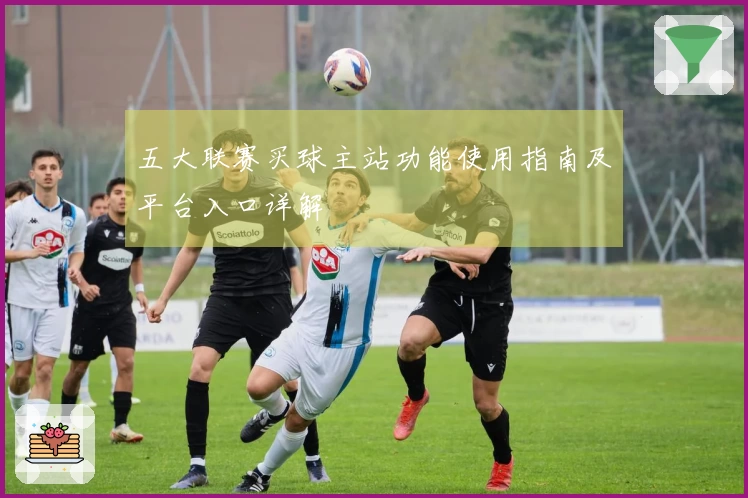五大联赛买球主站功能使用指南及平台入口详解