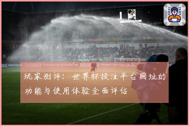 玩家测评：世界杯投注平台网址的功能与使用体验全面评估
