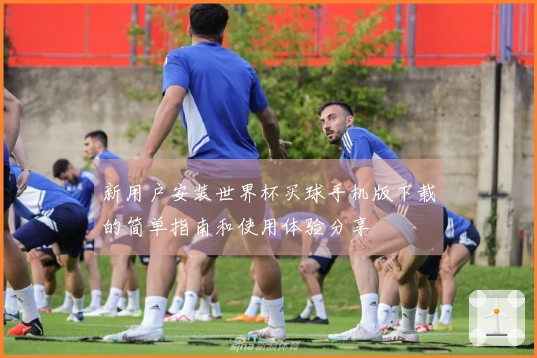 新用户安装世界杯买球手机版下载的简单指南和使用体验分享