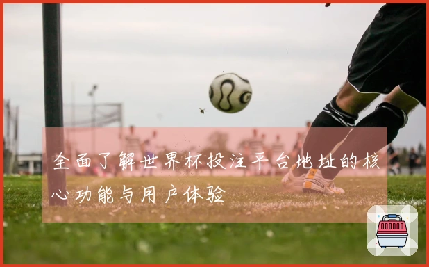 全面了解世界杯投注平台地址的核心功能与用户体验