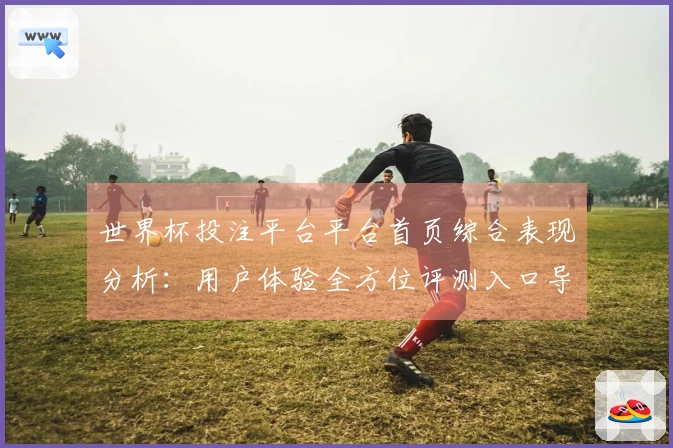 世界杯投注平台平台首页综合表现分析：用户体验全方位评测入口导航功能指引
