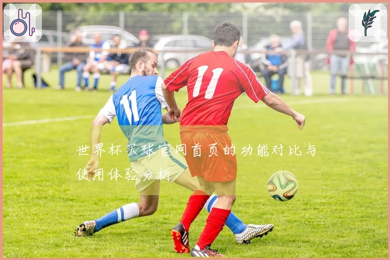 世界杯买球官网首页的功能对比与使用体验分析
