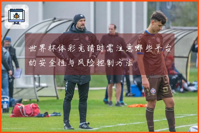 世界杯体彩竞猜时需注意哪些平台的安全性与风险控制方法
