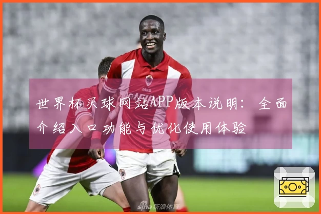 世界杯买球网站APP版本说明：全面介绍入口功能与优化使用体验