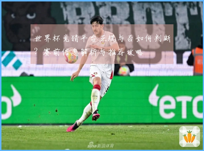世界杯竞猜平台正规与否如何判断?赛前信息解析与推荐攻略